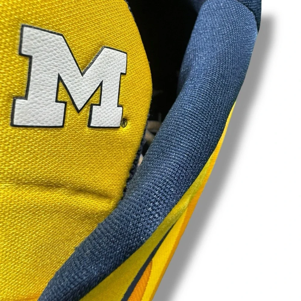 Air Jordan Zoom Separate PF Michigan Wolverines PE Player Exclusive US SZ 16 EUC